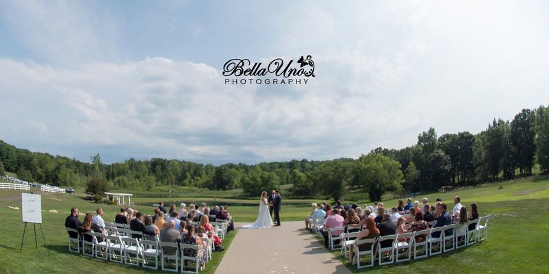 The ceremony from the back of the lawn